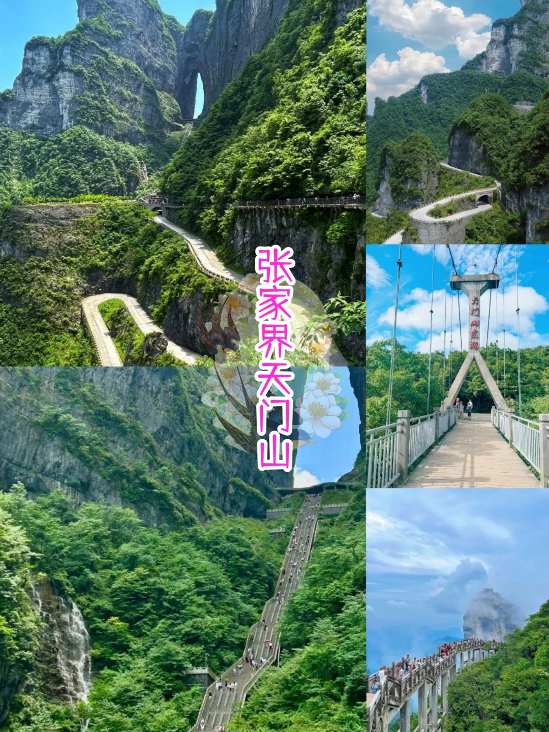 张家界踏春5天4晚超全旅游攻略来啦，人均600