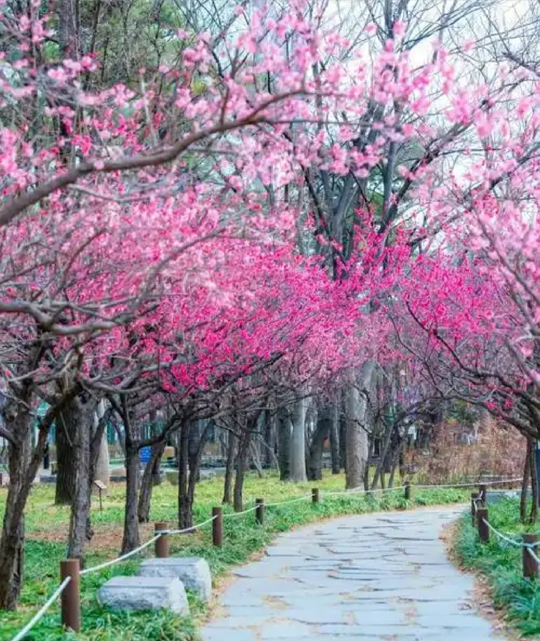 4月旅行天花板攻略一：这8个小众地必去