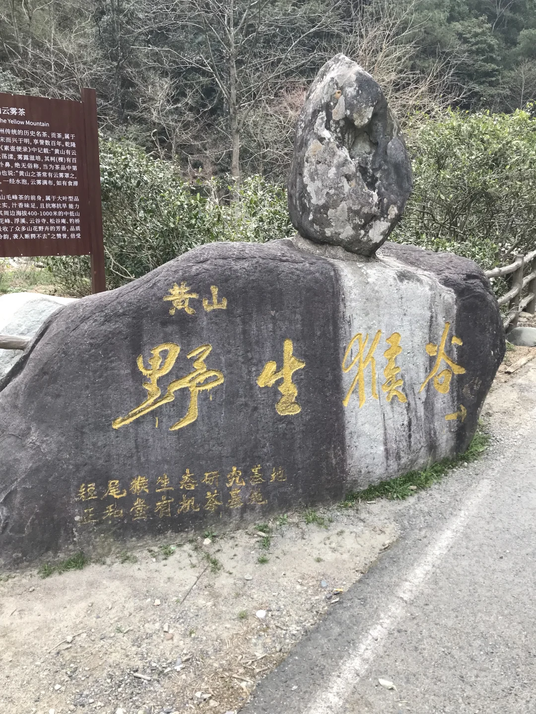 黃山第一站