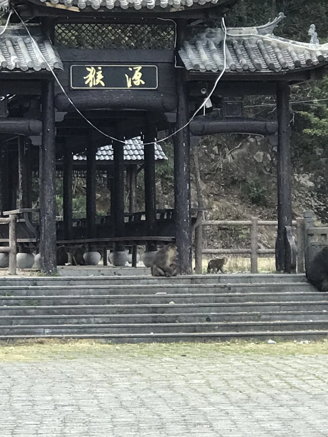 黃山第一站