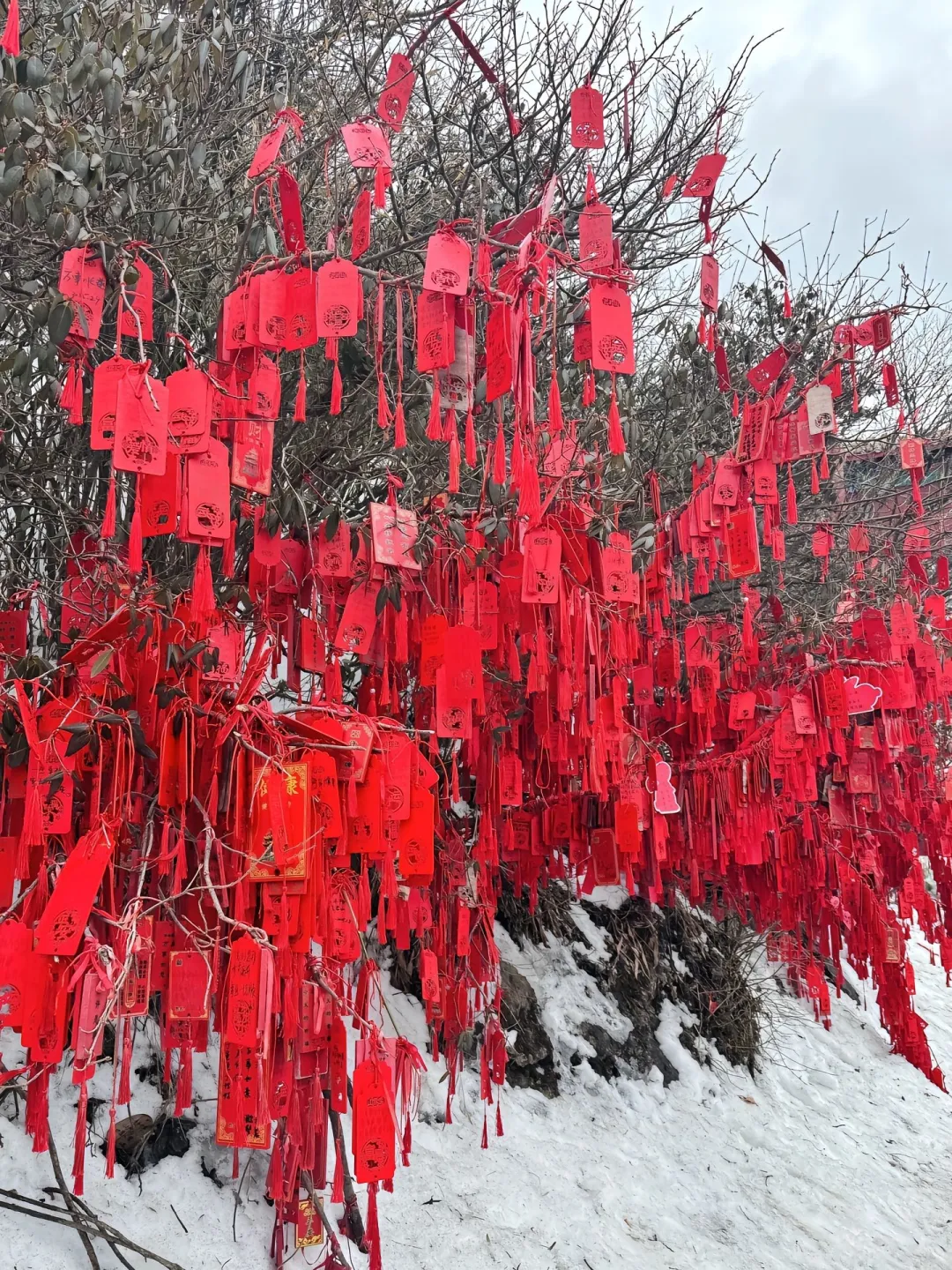 3.26号老君山实况，一上来彻底崩溃了……