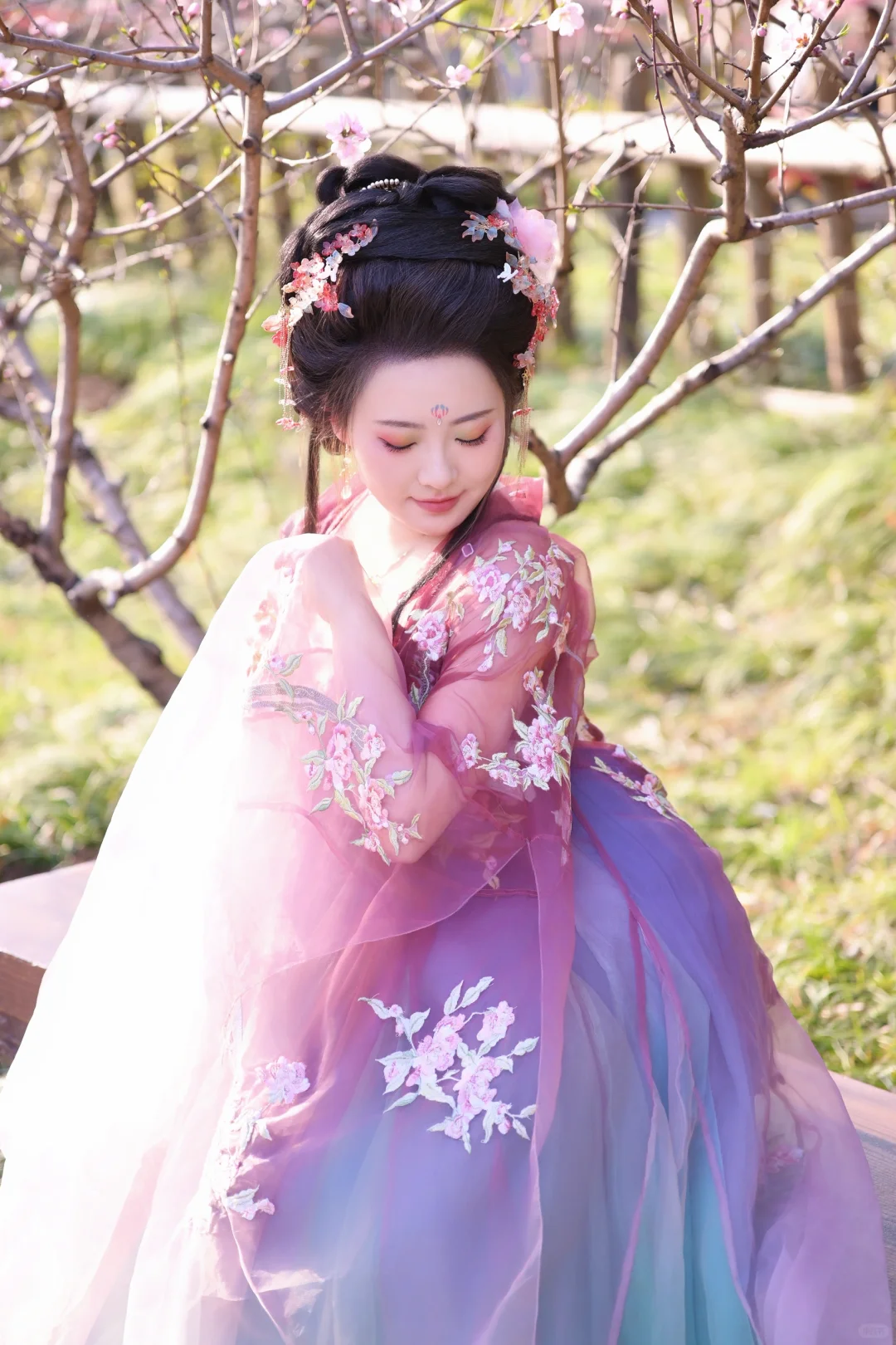 莫负好春光