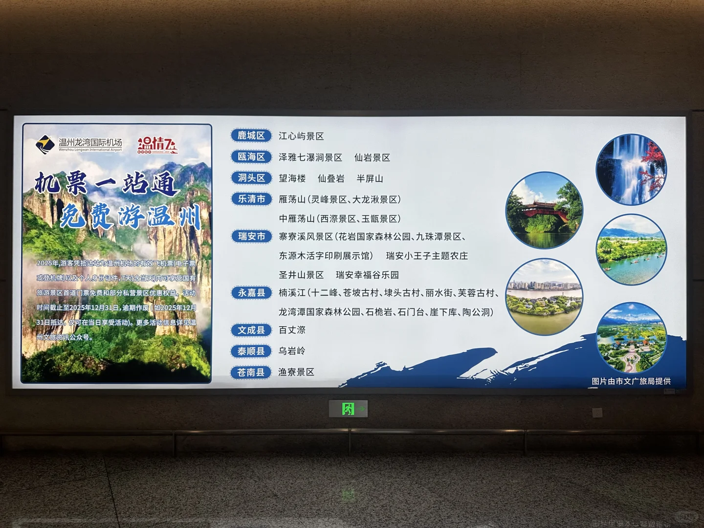 免费游温州