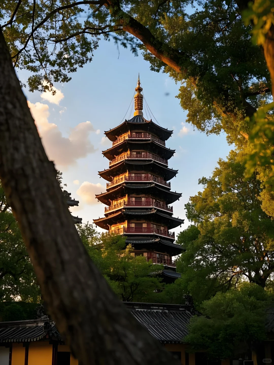 春日花约13｜江苏扬州✨如诗如画瘦西湖