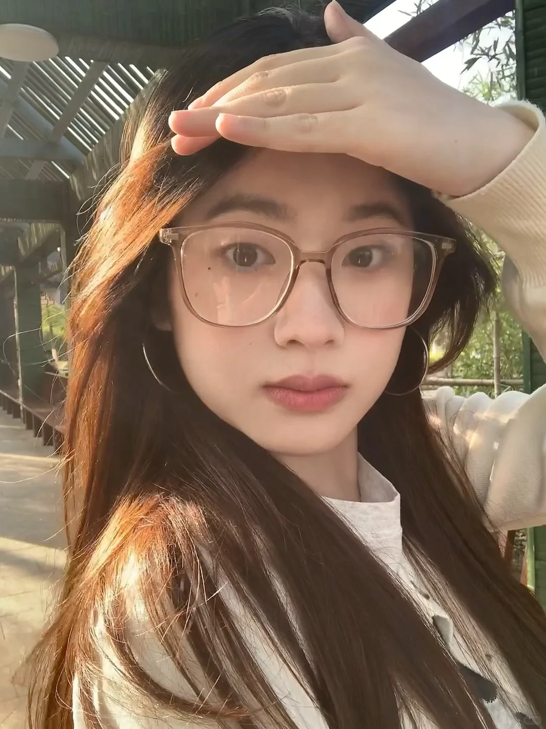 怀念大太阳