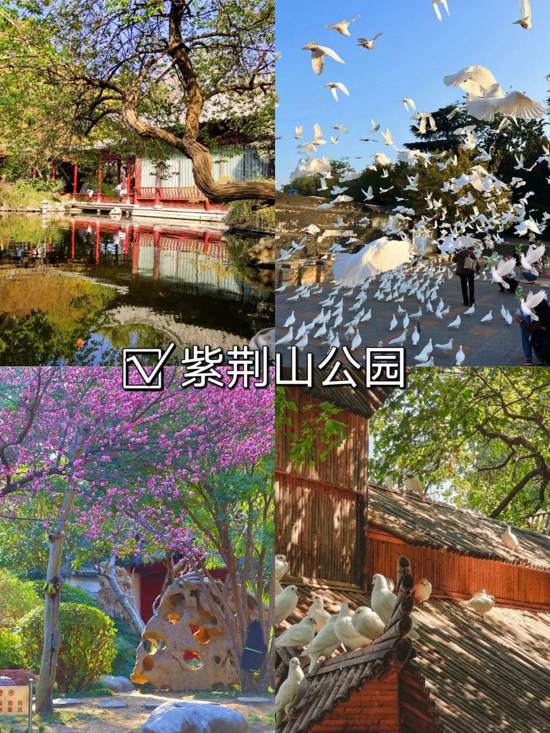 人均💰200 清明节 郑州2️⃣日保姆级攻略