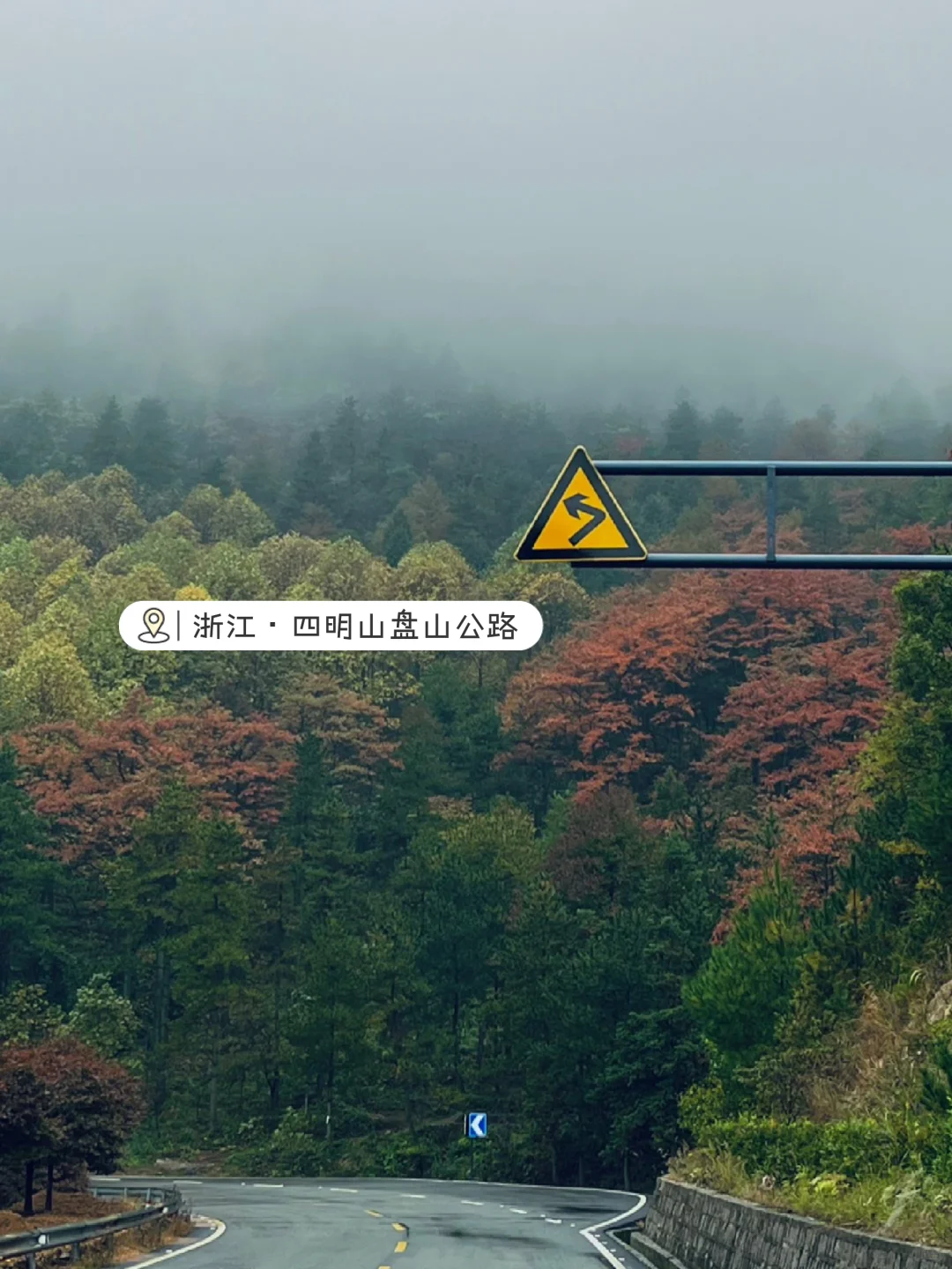 江浙沪周边游｜4⃣️条春日路线，周末出发