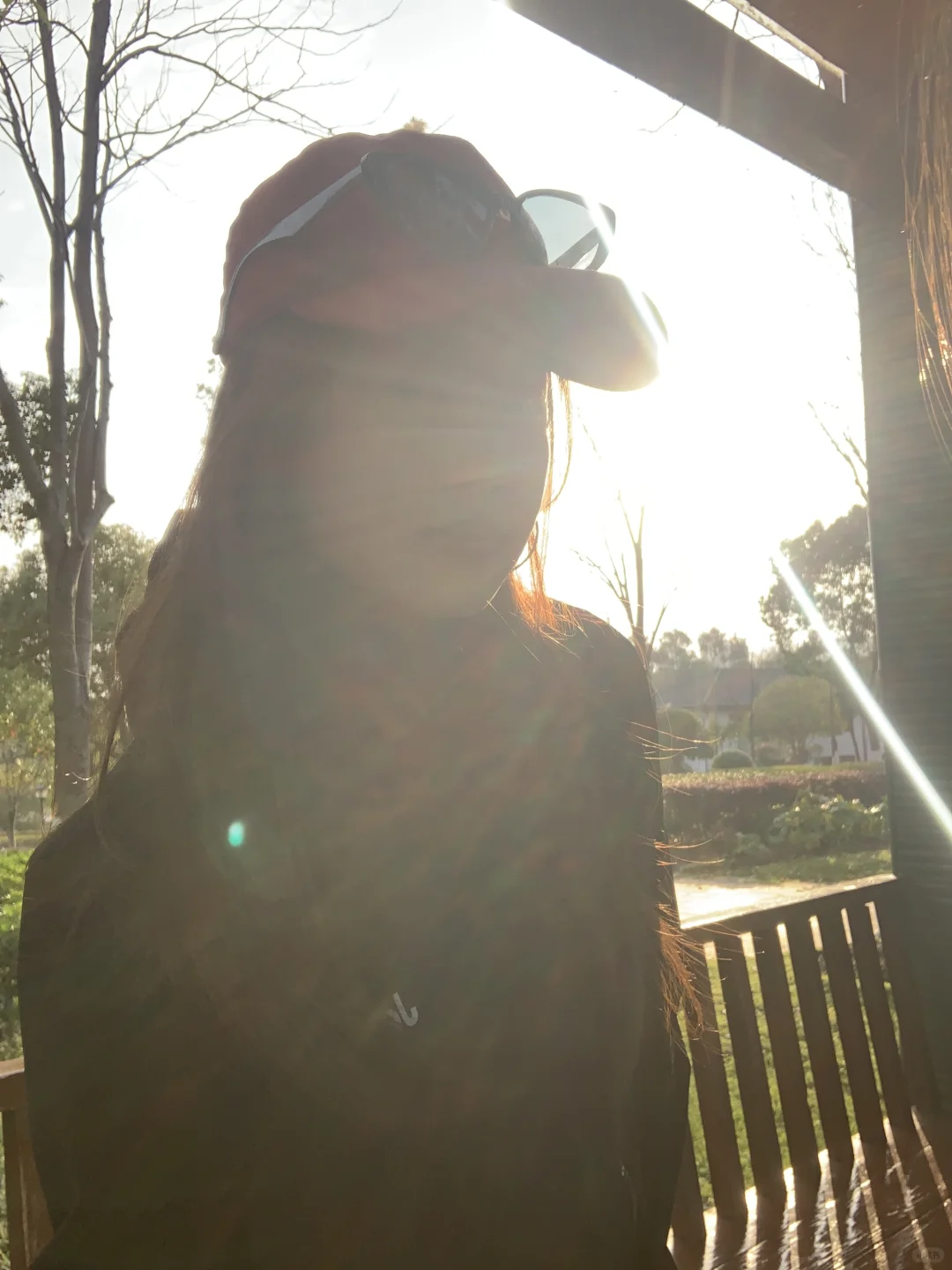 怀念大太阳