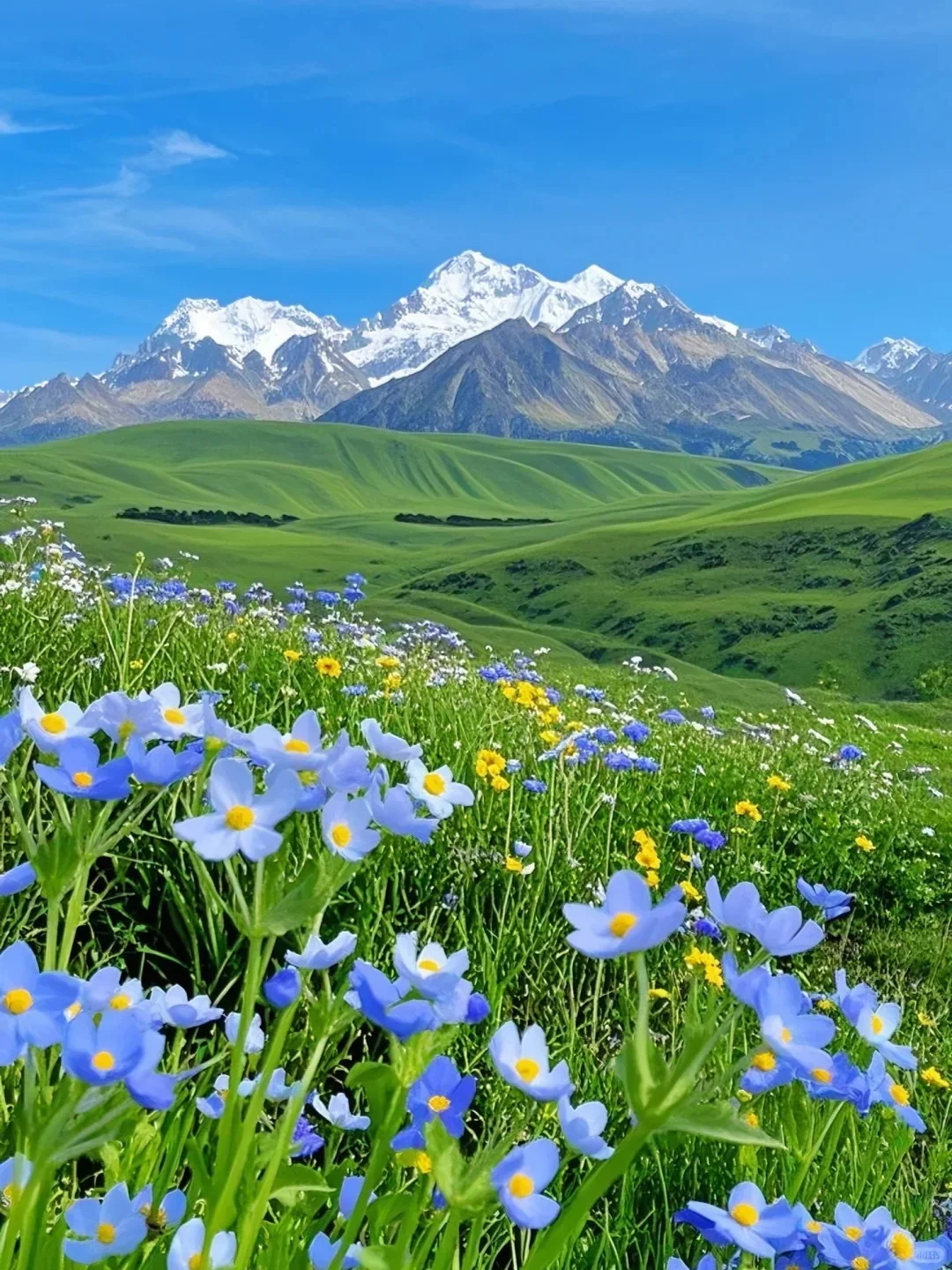 格聂南线🏔️我愿称之为川西美景天花板❗