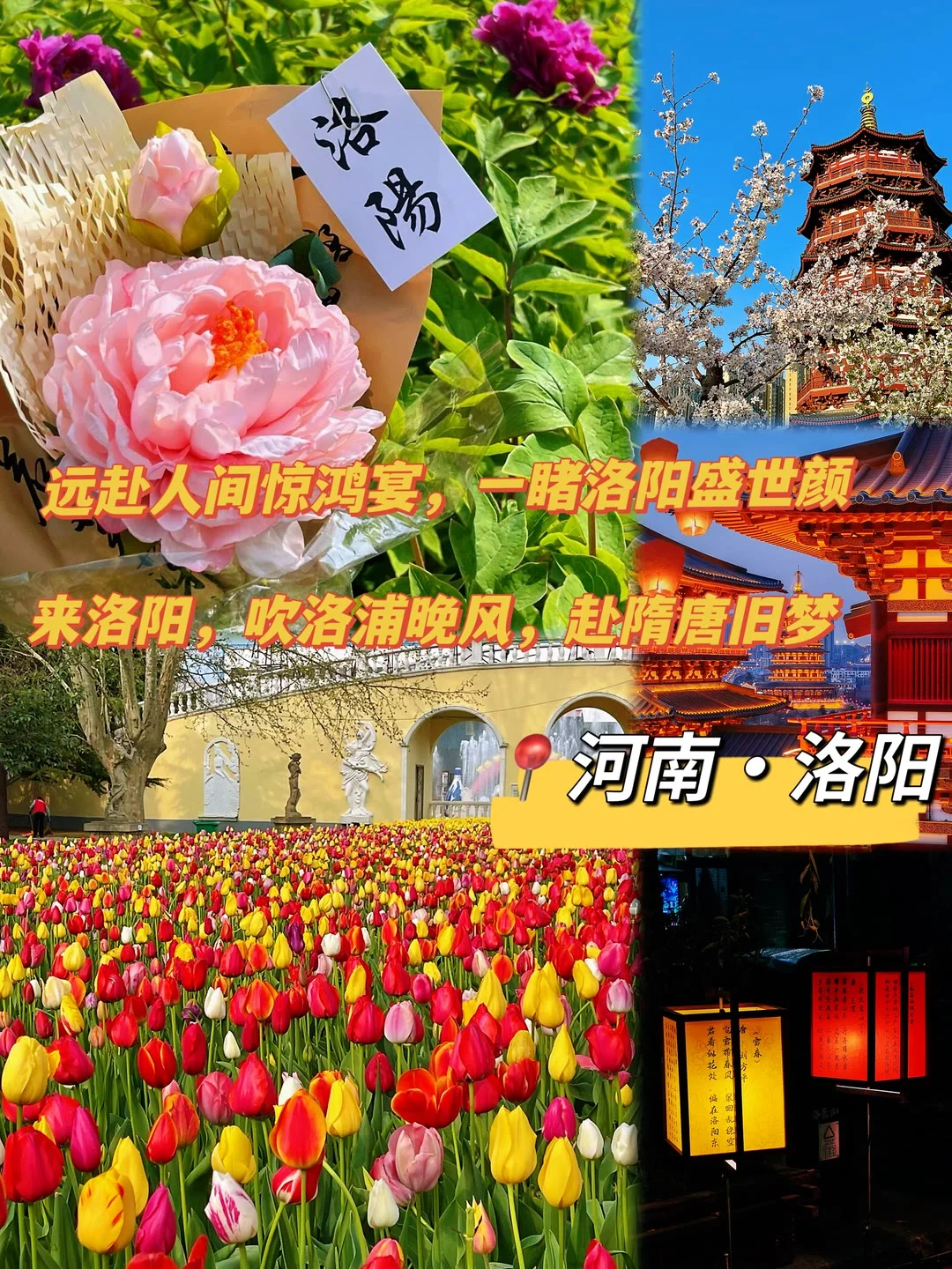 四月洛阳封神！一生必去的宝藏地‼️