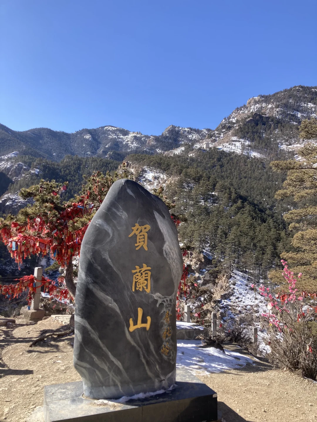从宁夏回来后，好强的戒断反应