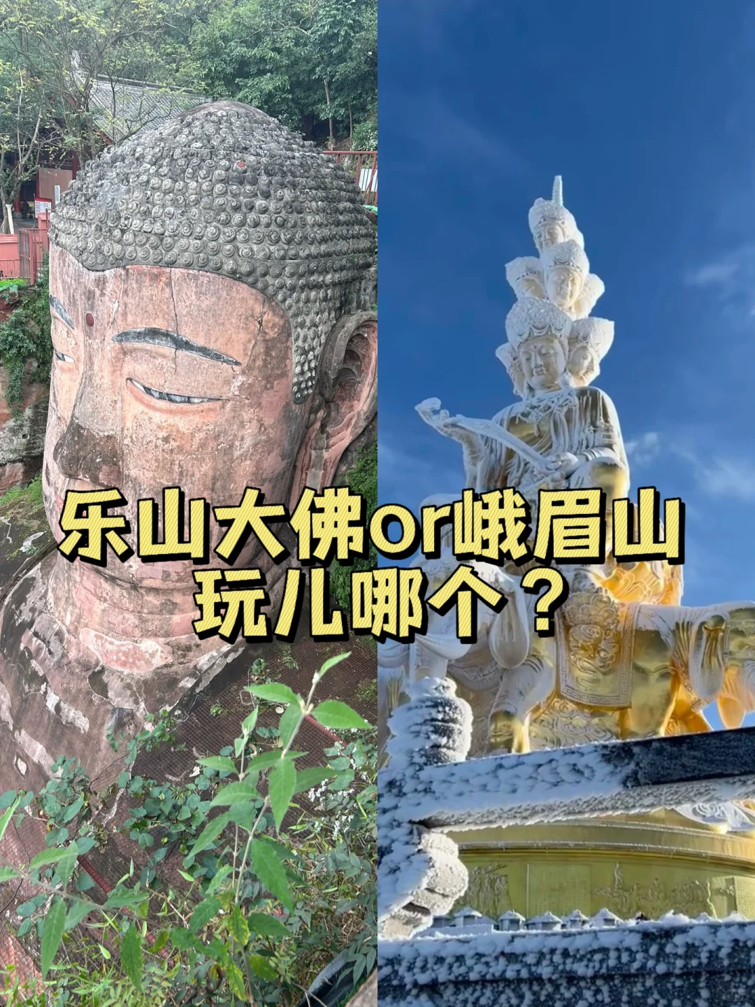 乐山大佛，峨眉山都去了，来听听我的个人感受