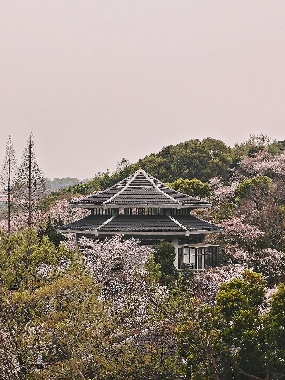 3.29 鼋头渚