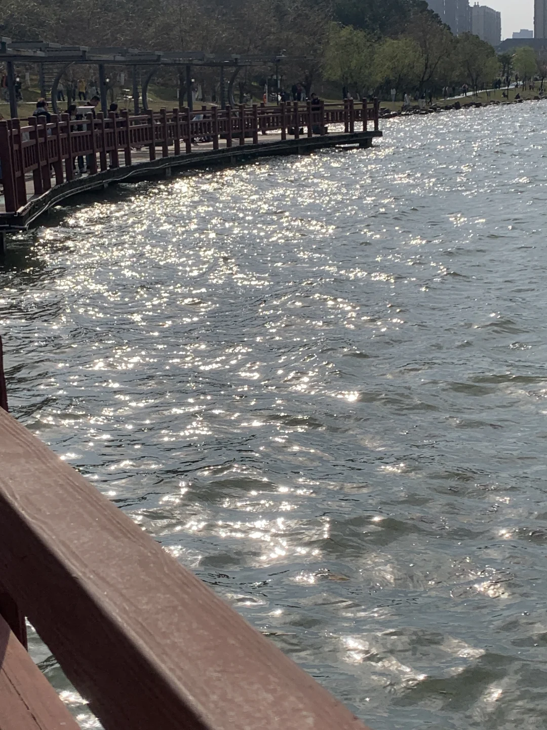 怀念大太阳