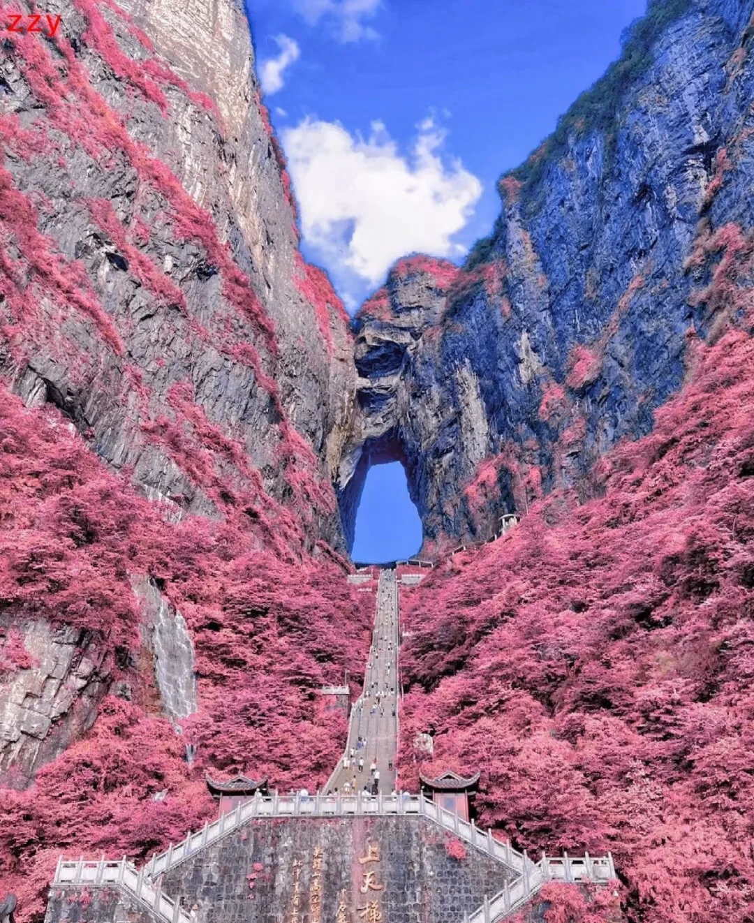 🌸春季天门山保姆级攻略｜避雷90%坑点