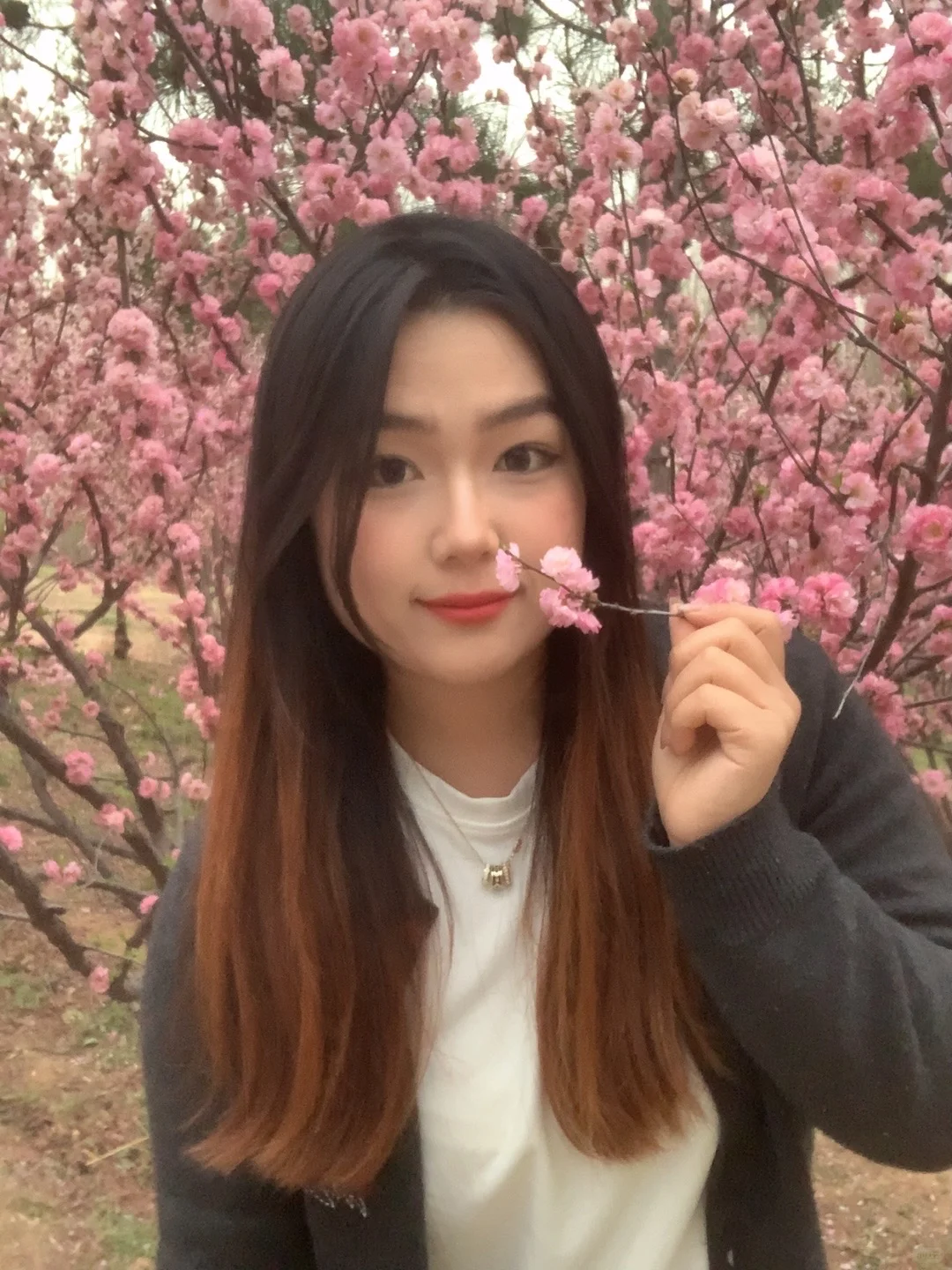 居然是邯郸
