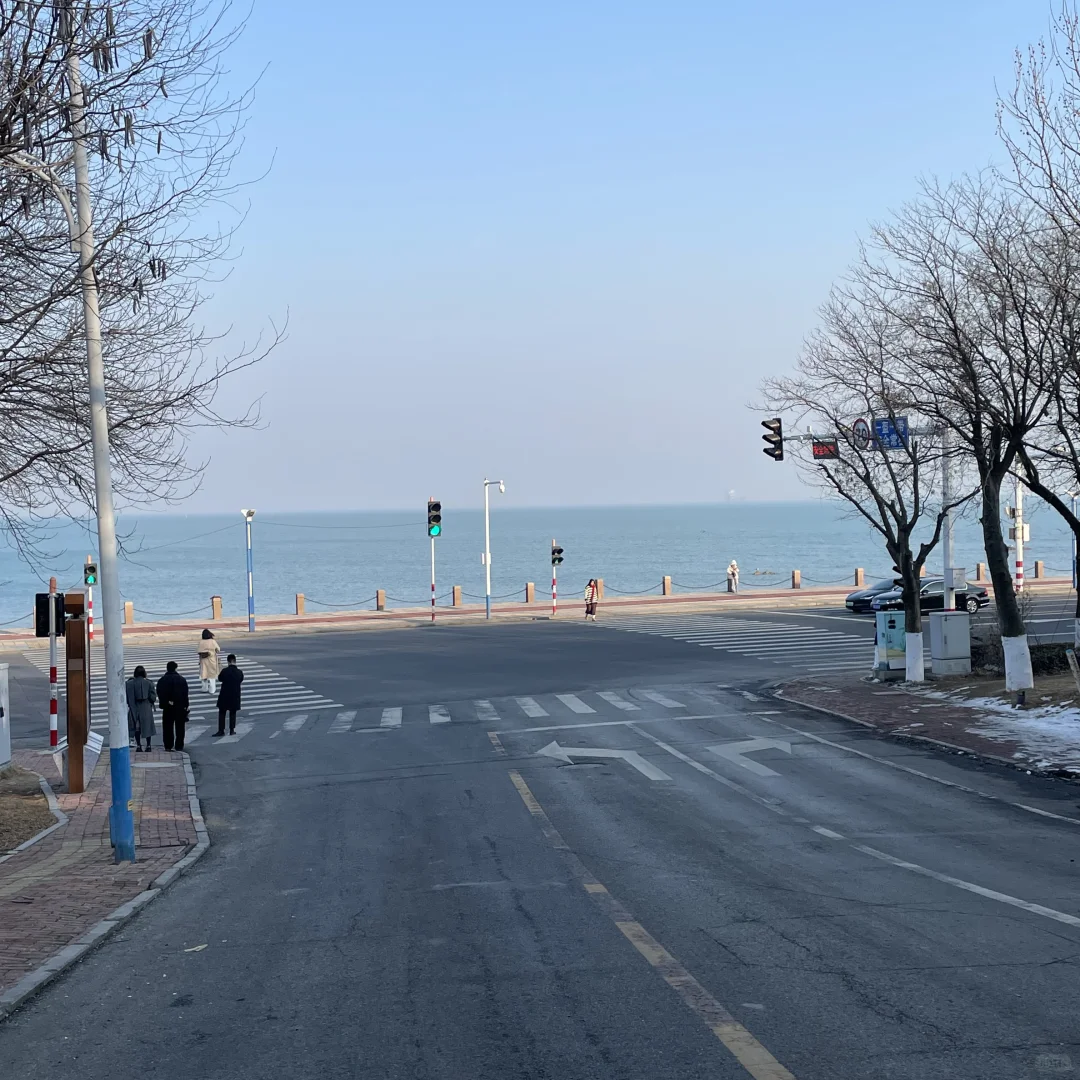 一月中旬 大连有海鸥vs烟台有残雪