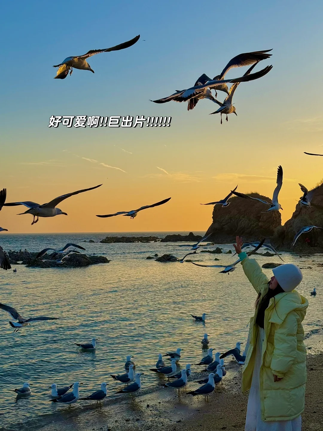 不在国外！！在大连！！！琥珀湾！！！绝美live！！