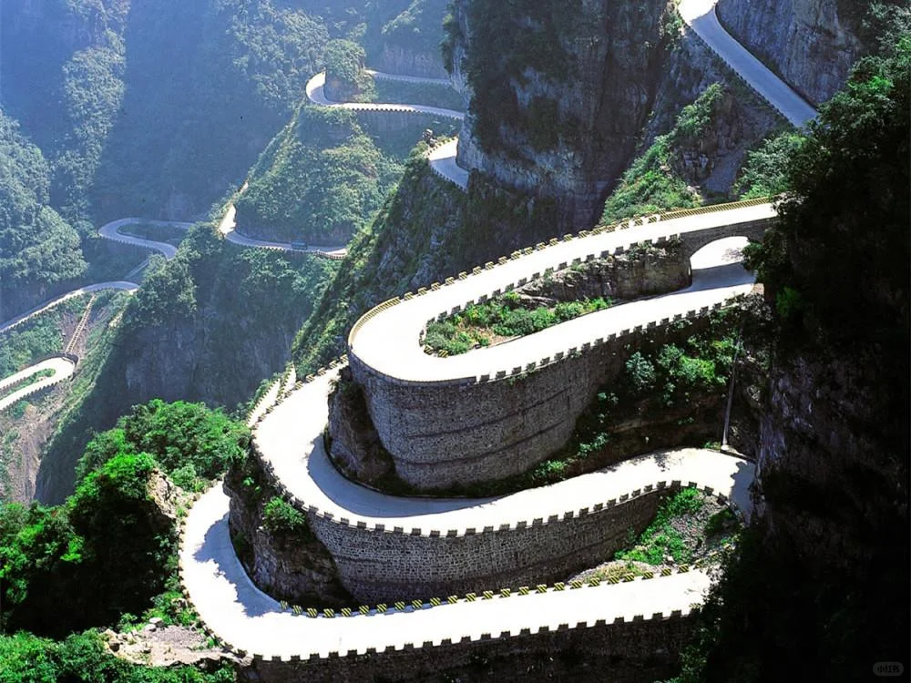 🌸春季天门山保姆级攻略｜避雷90%坑点