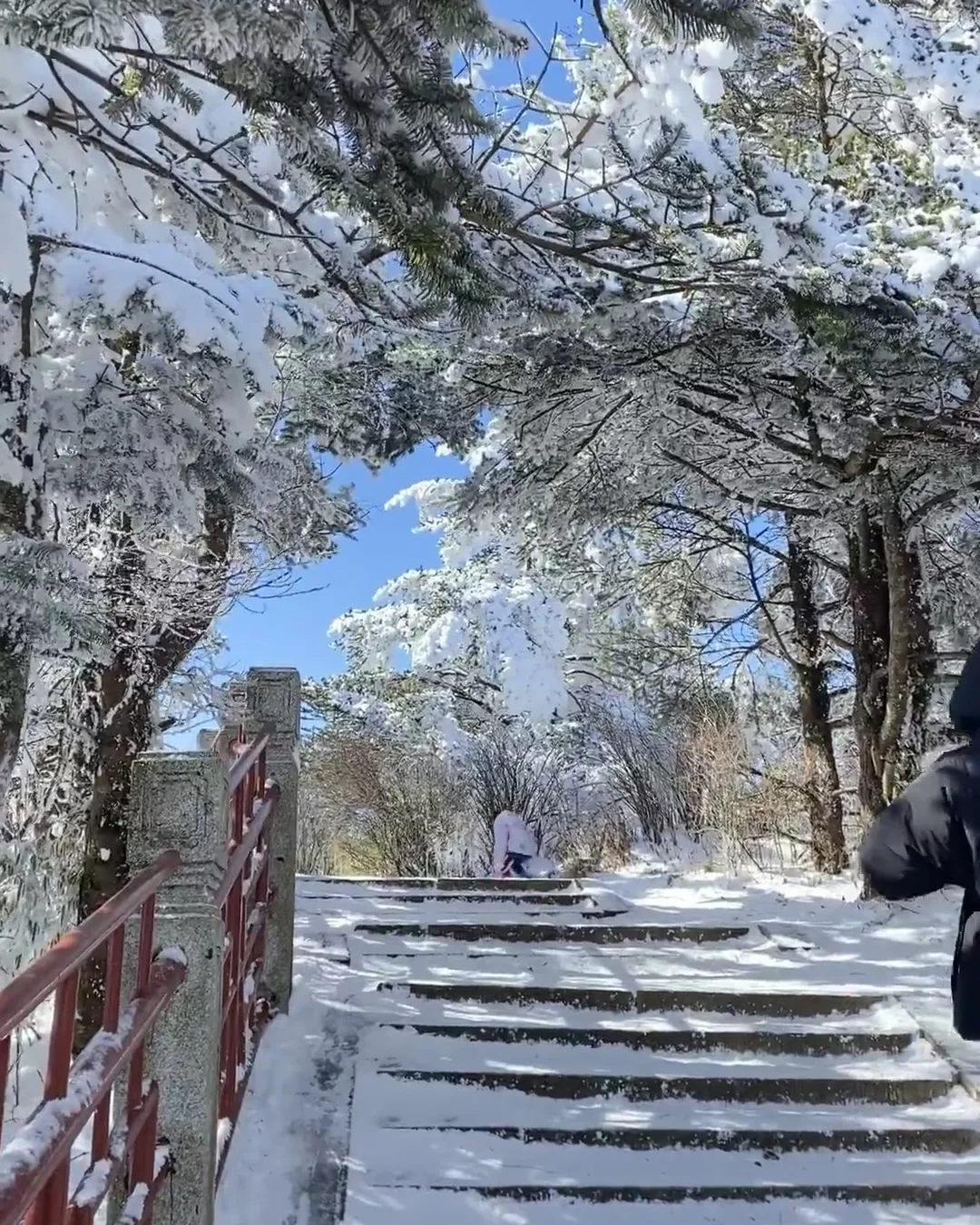 乐山大佛，峨眉山都去了，来听听我的个人感受