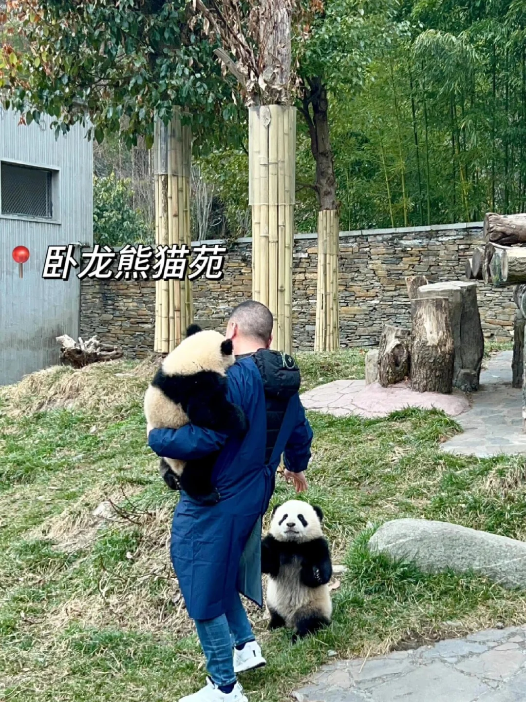 真不是瑞士！川西的夏天才是人间绝美