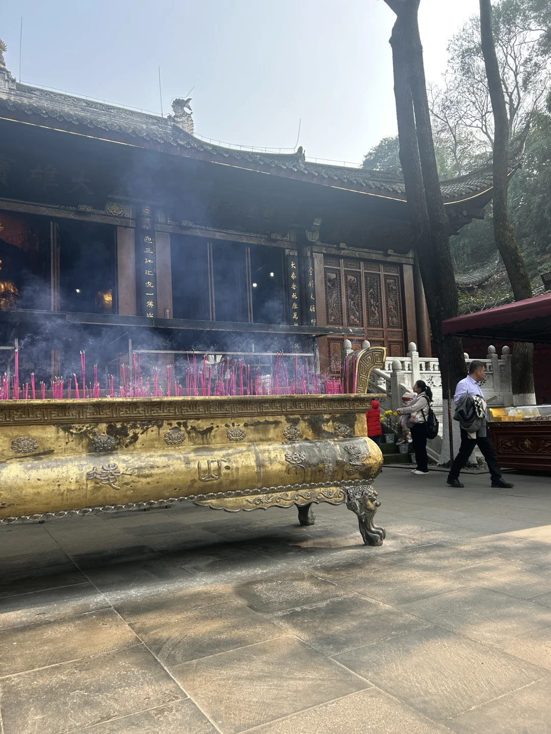 乐山大佛，峨眉山都去了，来听听我的个人感受