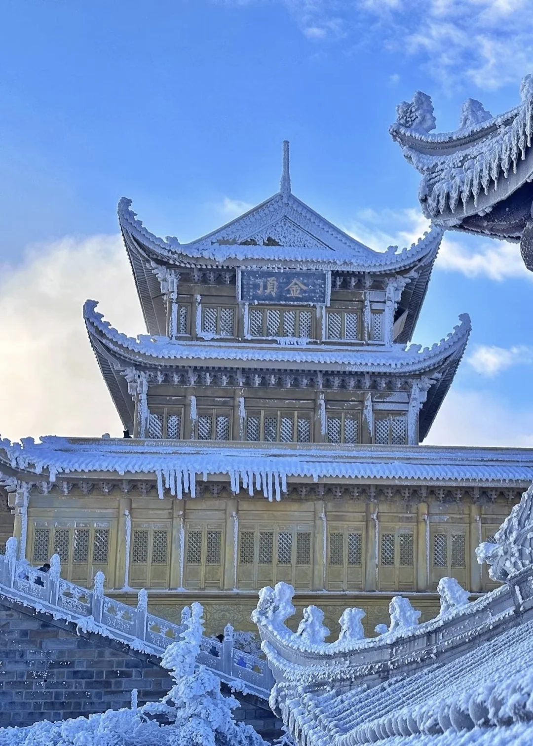 乐山大佛，峨眉山都去了，来听听我的个人感受