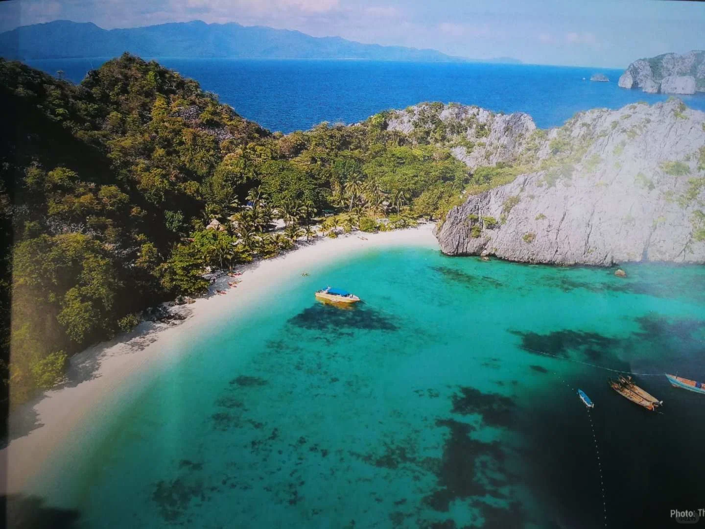 心动即行动，说不定哪天它们就不在原地等你