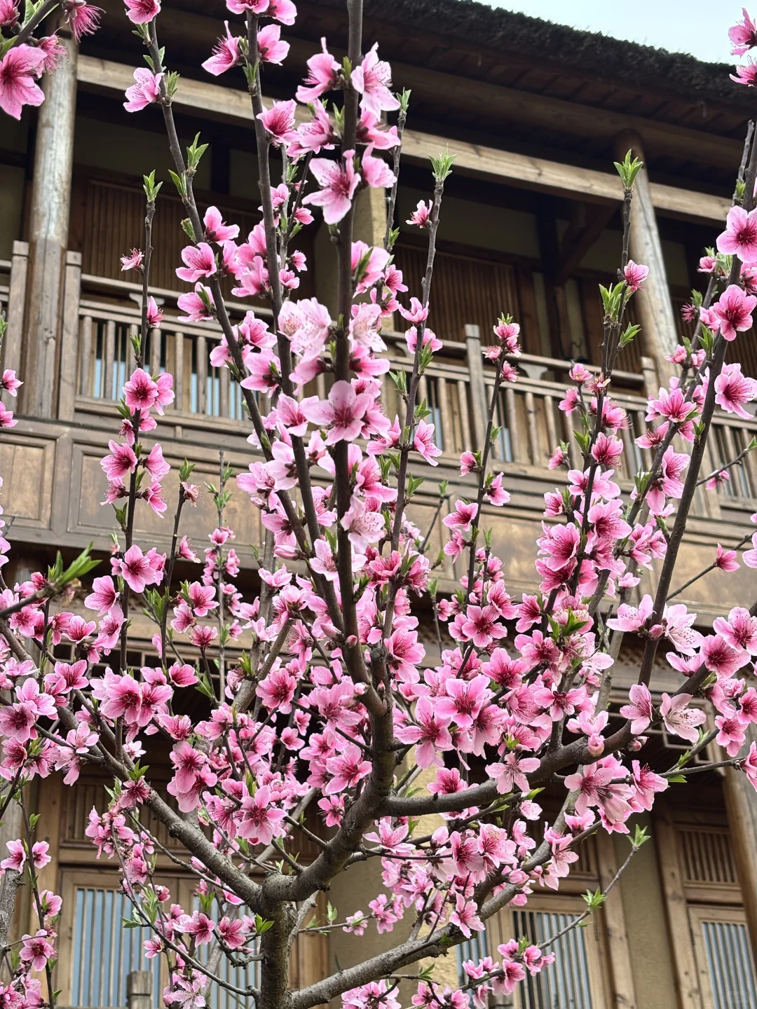 官塘新村