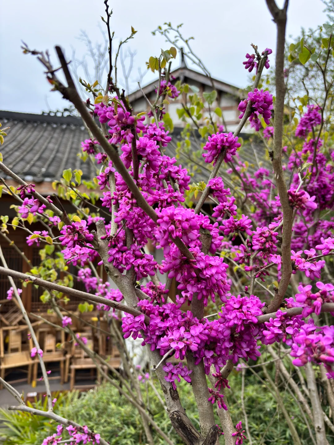 官塘新村
