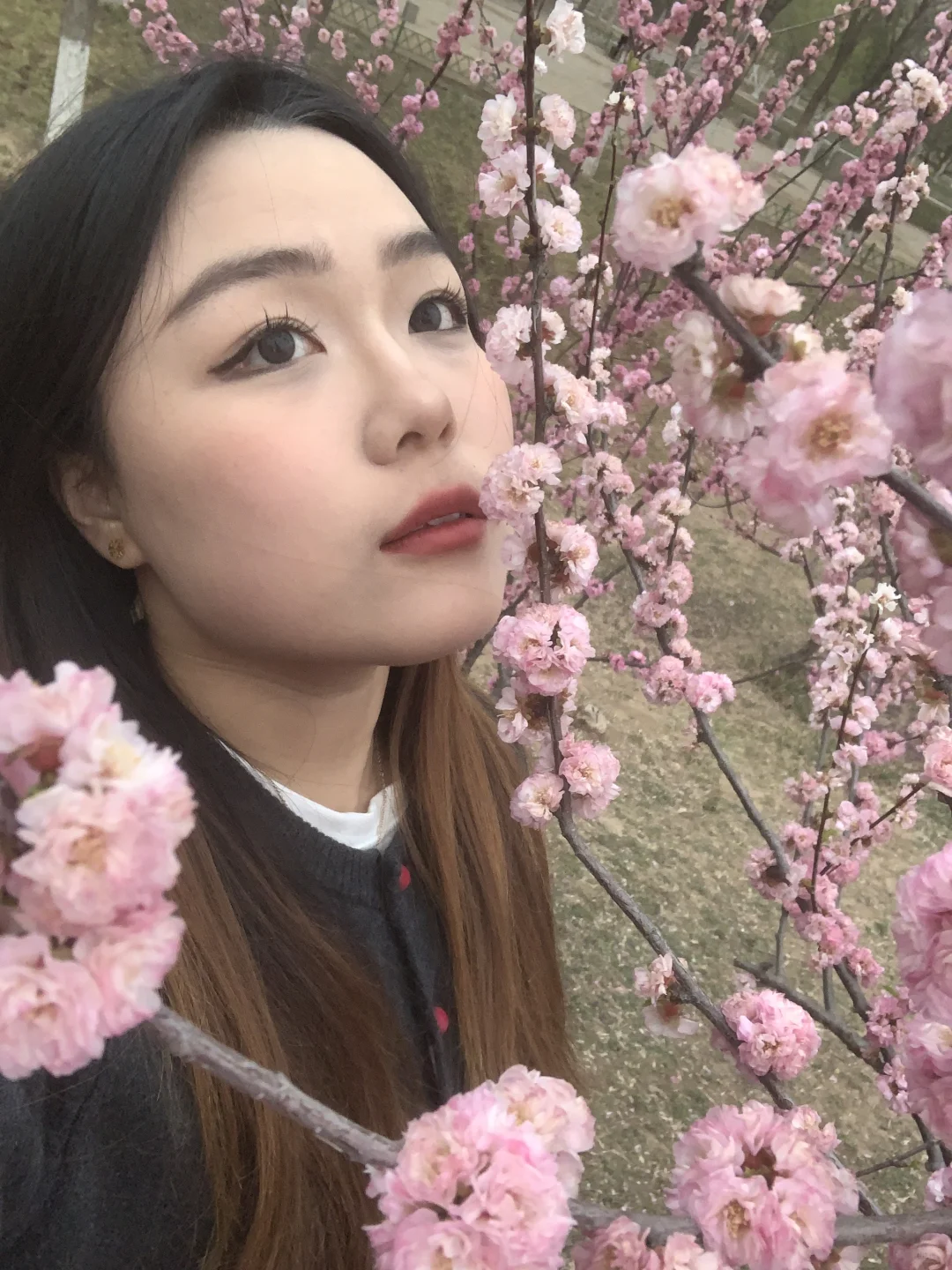 居然是邯郸