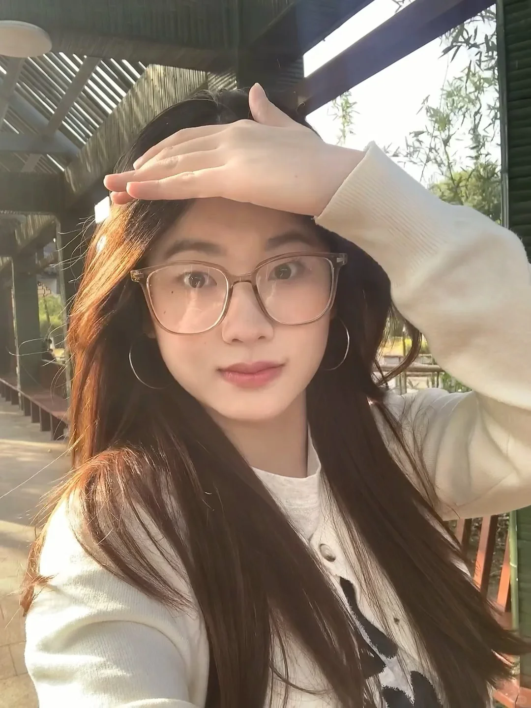 怀念大太阳