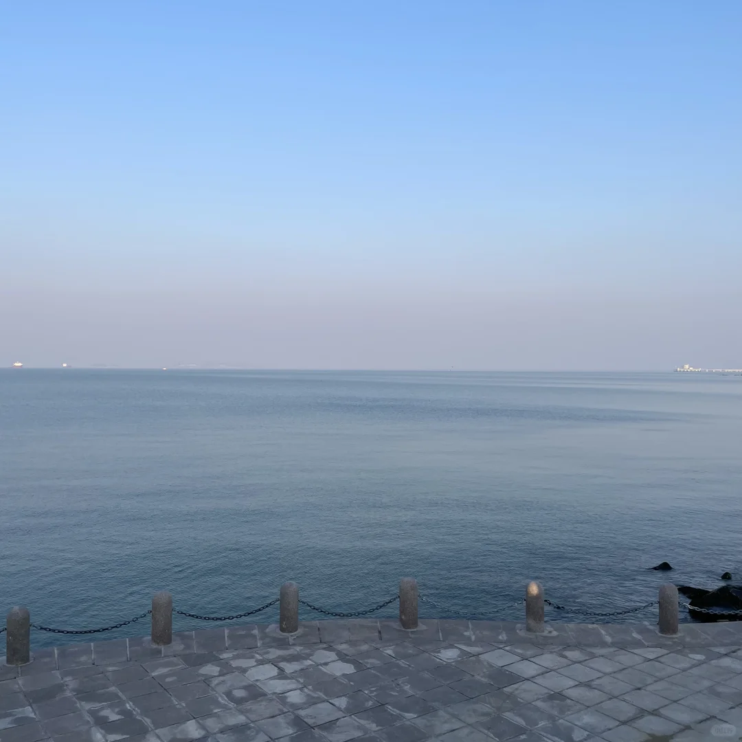 一月中旬 大连有海鸥vs烟台有残雪