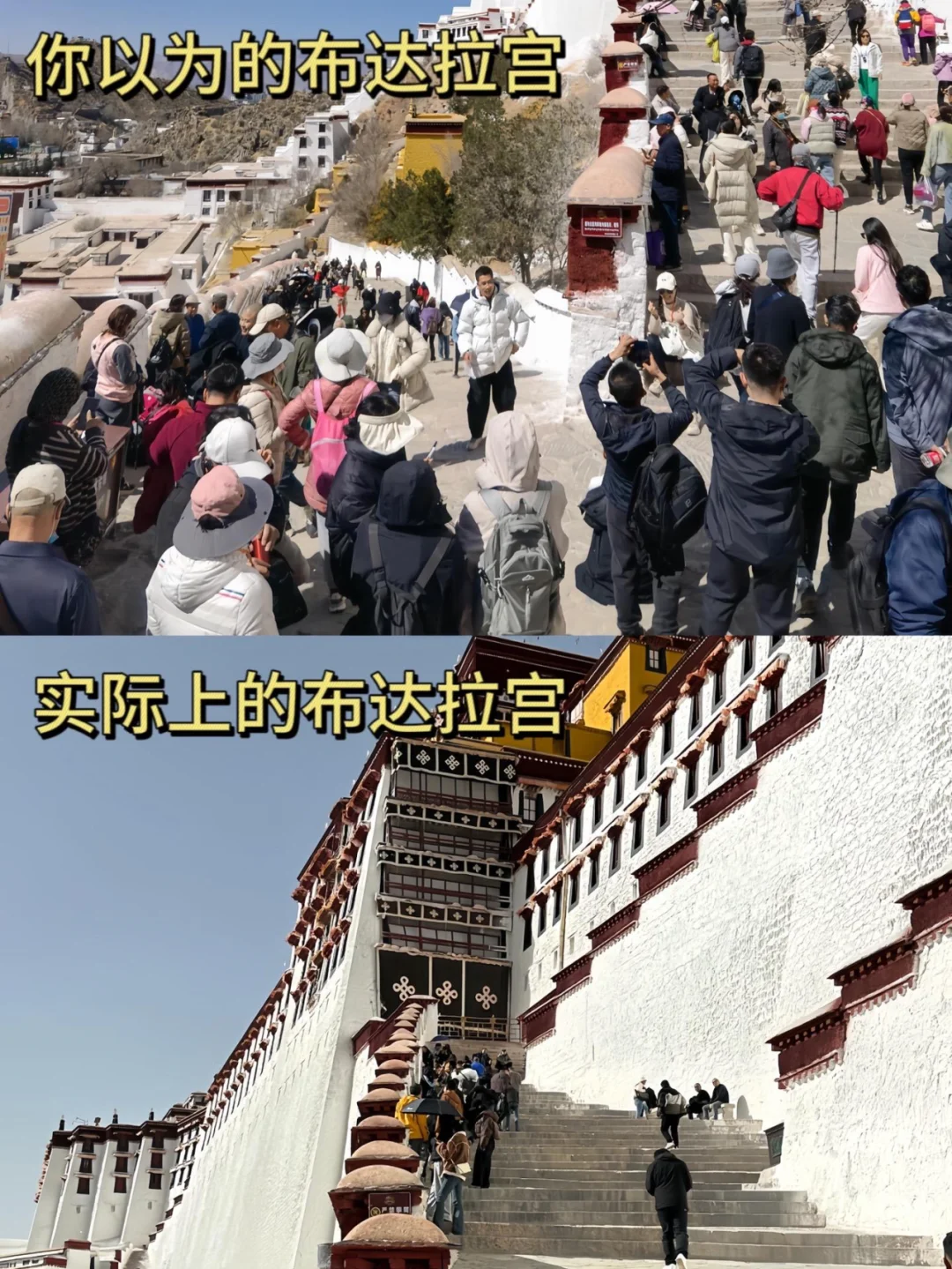 3.12📍西藏实况，不要再被网上骗了😭