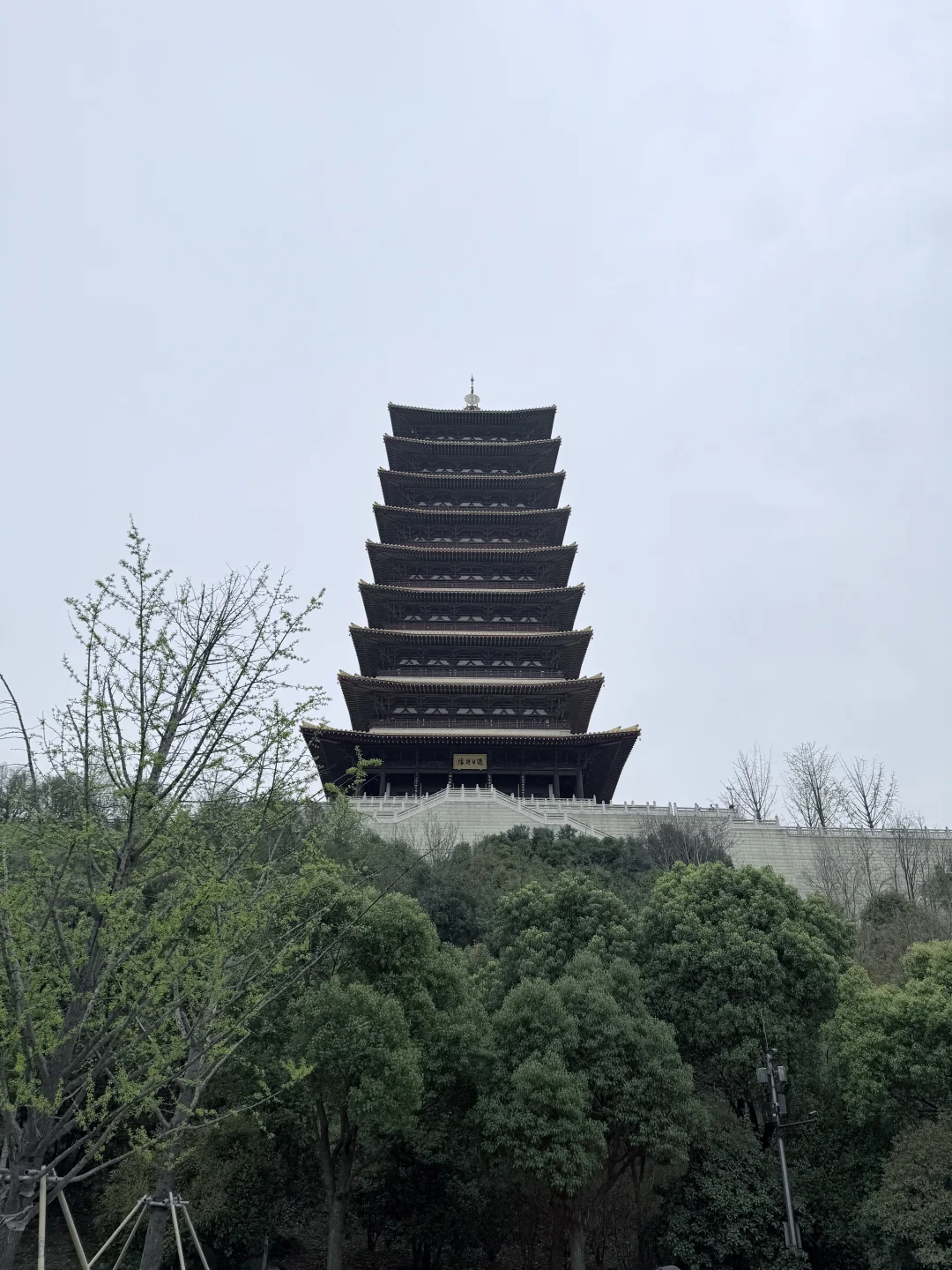 周末打卡景区