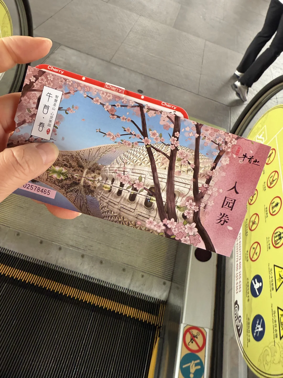 周末打卡景区