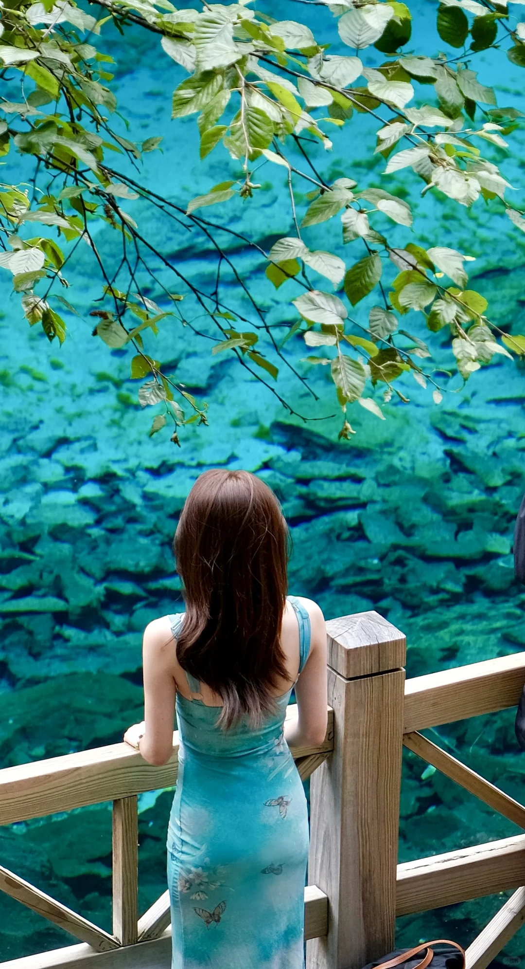 九寨沟旅游季