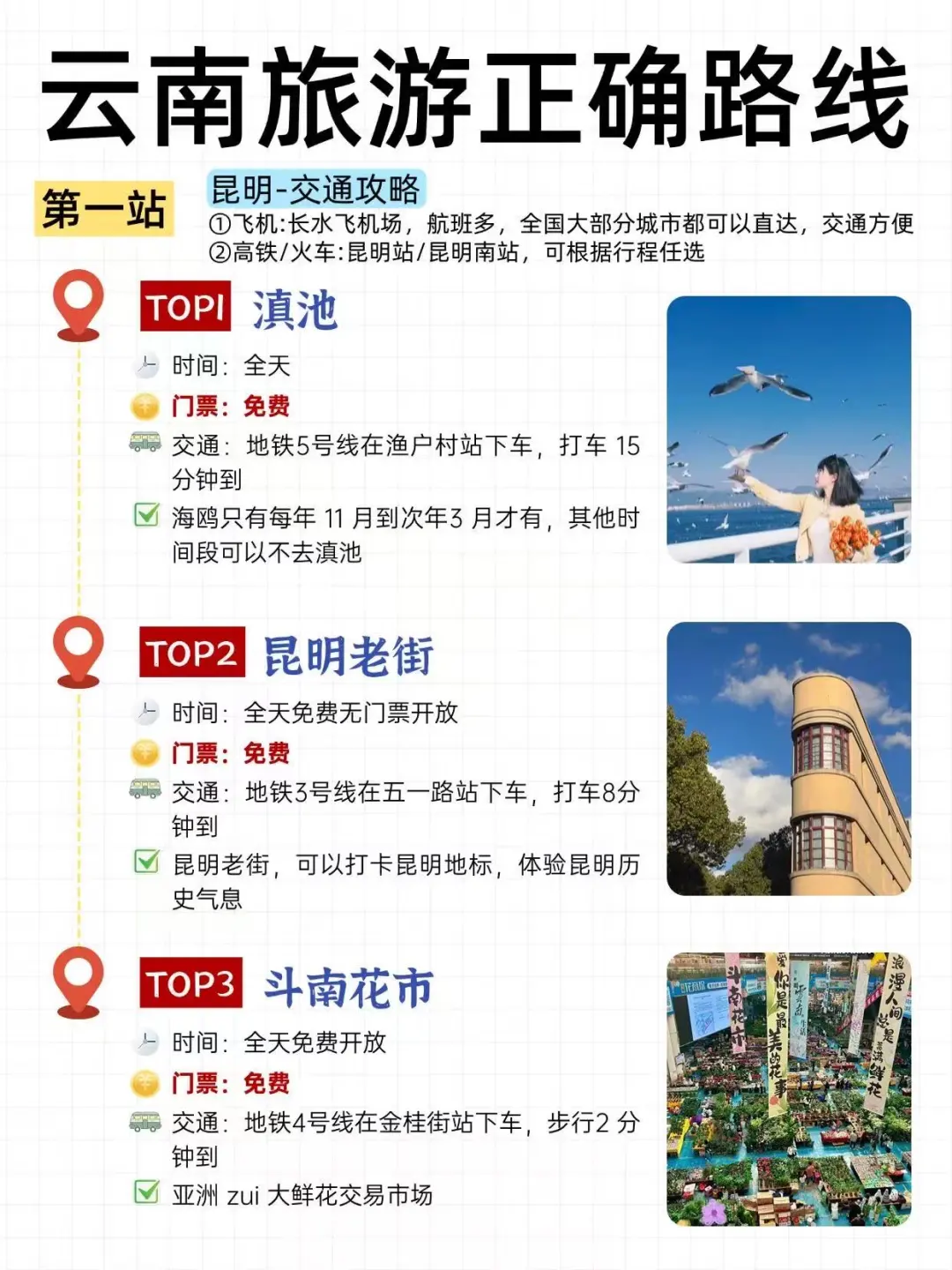 真心建议3-4月来云南的朋友进来听劝‼