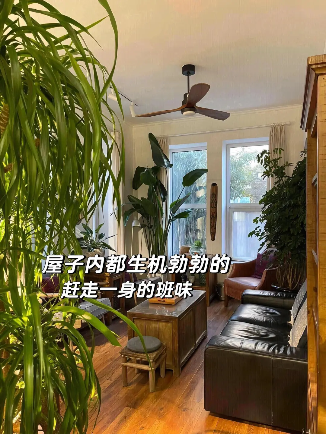五一来青岛住我家吧！108俩人，就在栈桥旁