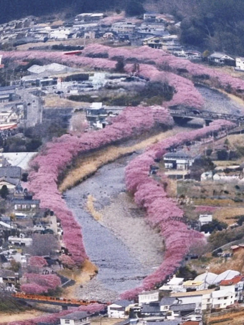 阿里山旅遊包車
