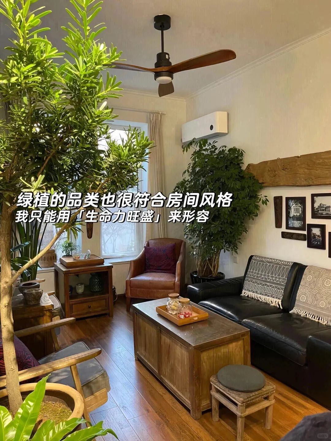 五一来青岛住我家吧！108俩人，就在栈桥旁