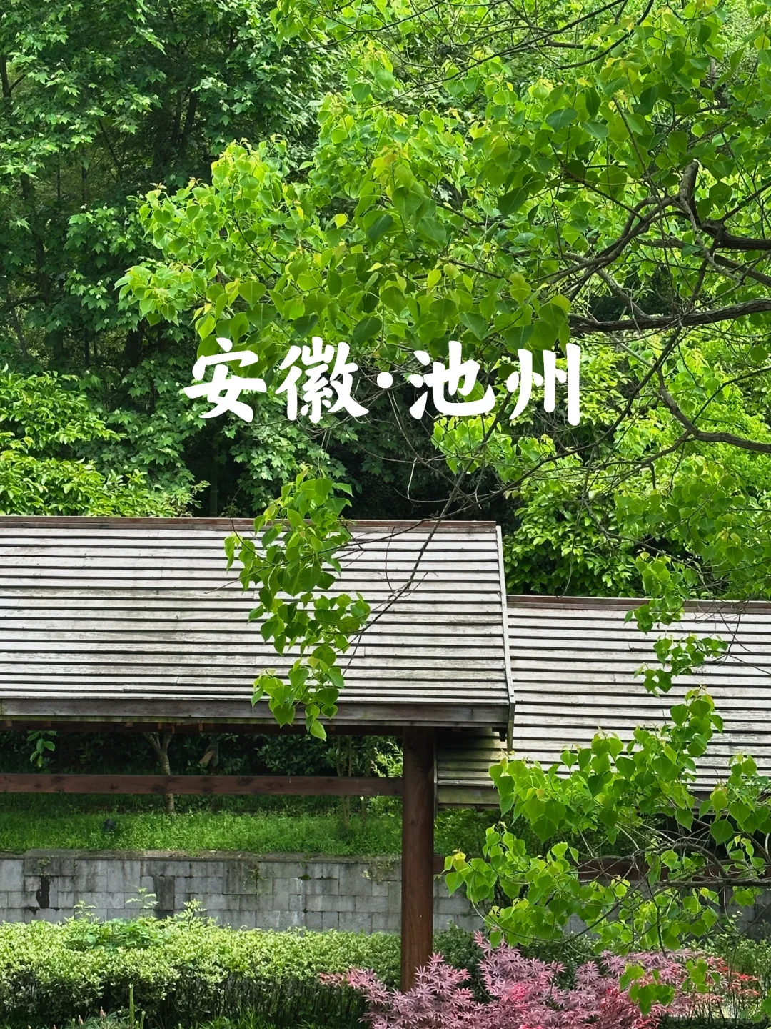 池州，绝对是被低估的旅游城市！太低调