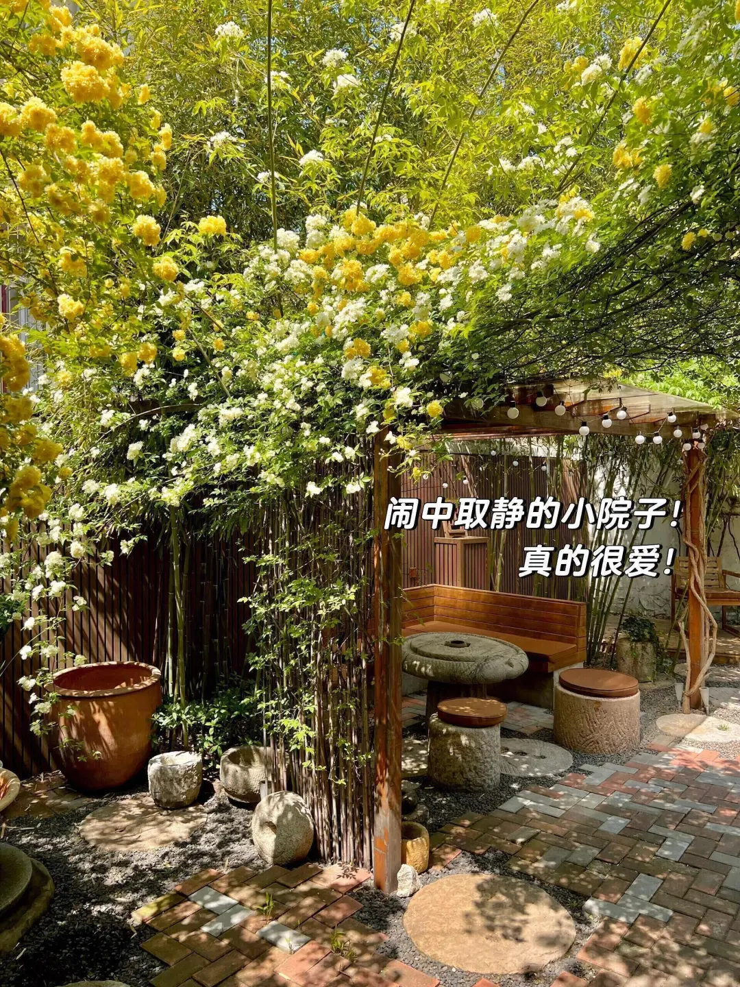 五一来青岛住我家吧！108俩人，就在栈桥旁