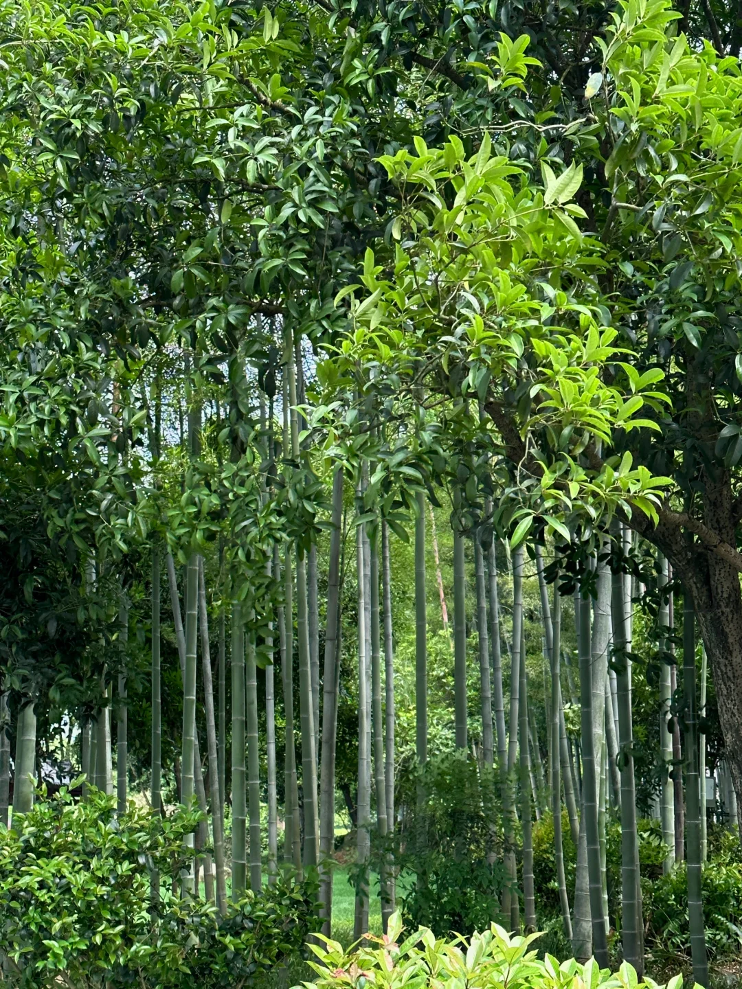 池州，绝对是被低估的旅游城市！太低调