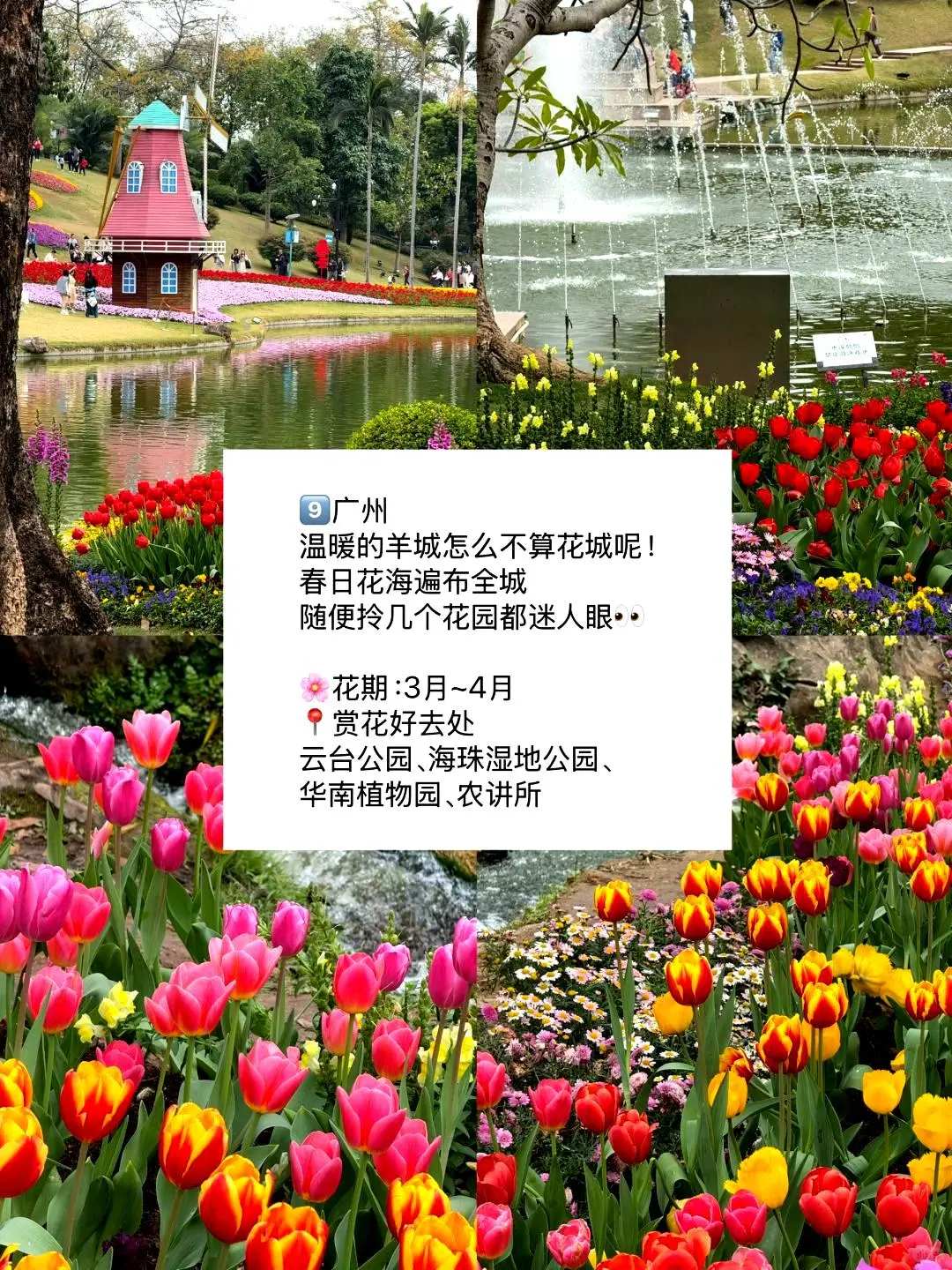 春游好去处🌼适合三到四月踏青的九座城市