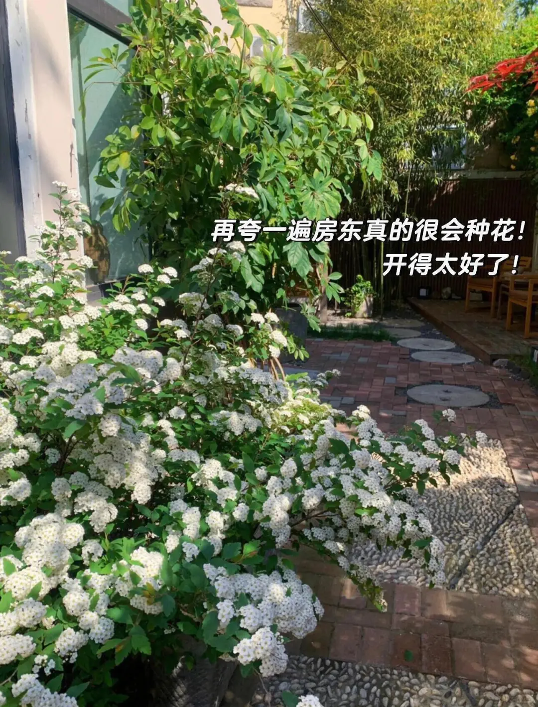 五一来青岛住我家吧！108俩人，就在栈桥旁