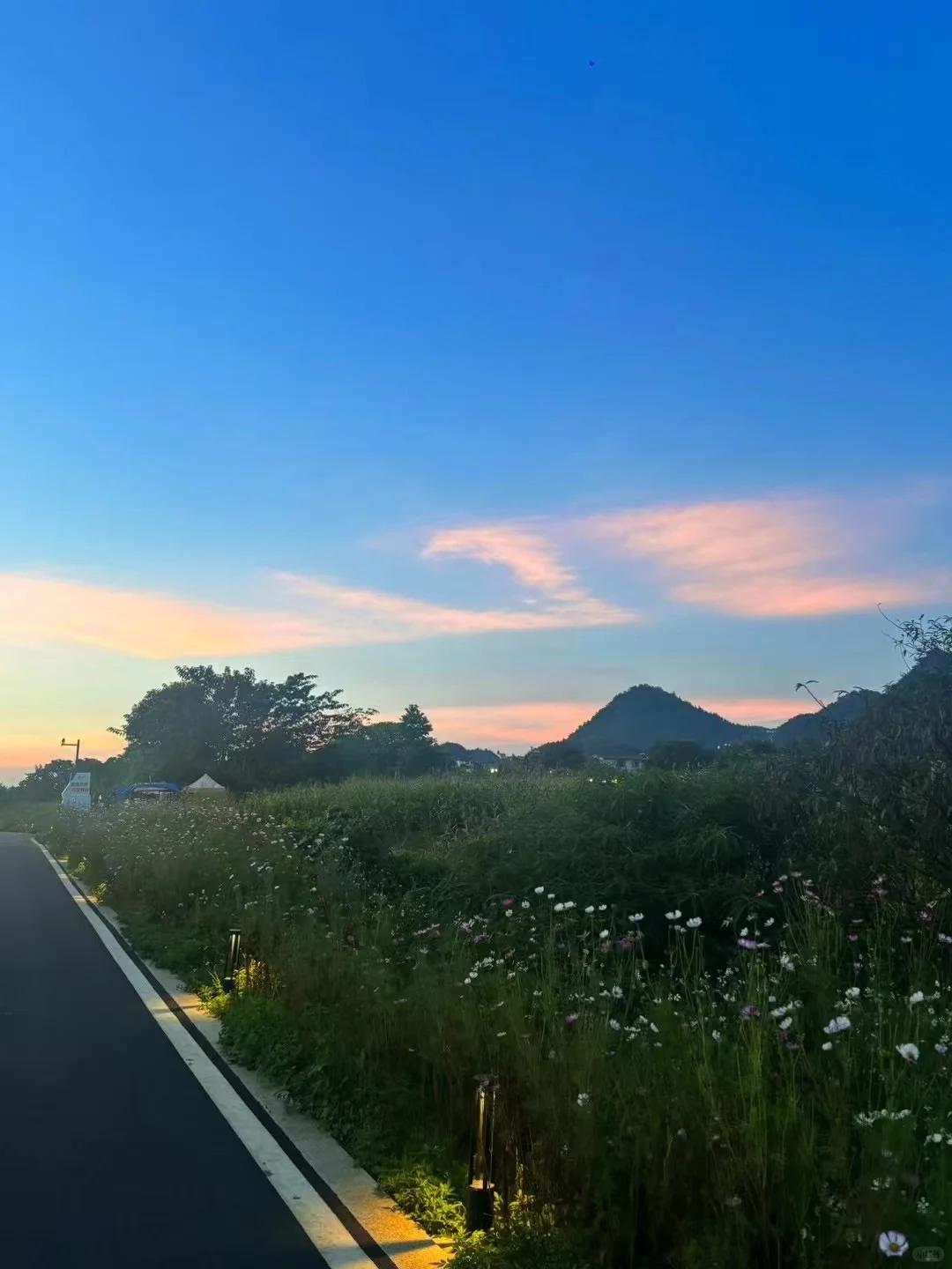 旅游合伙人“有项目，有模式，缺人”
