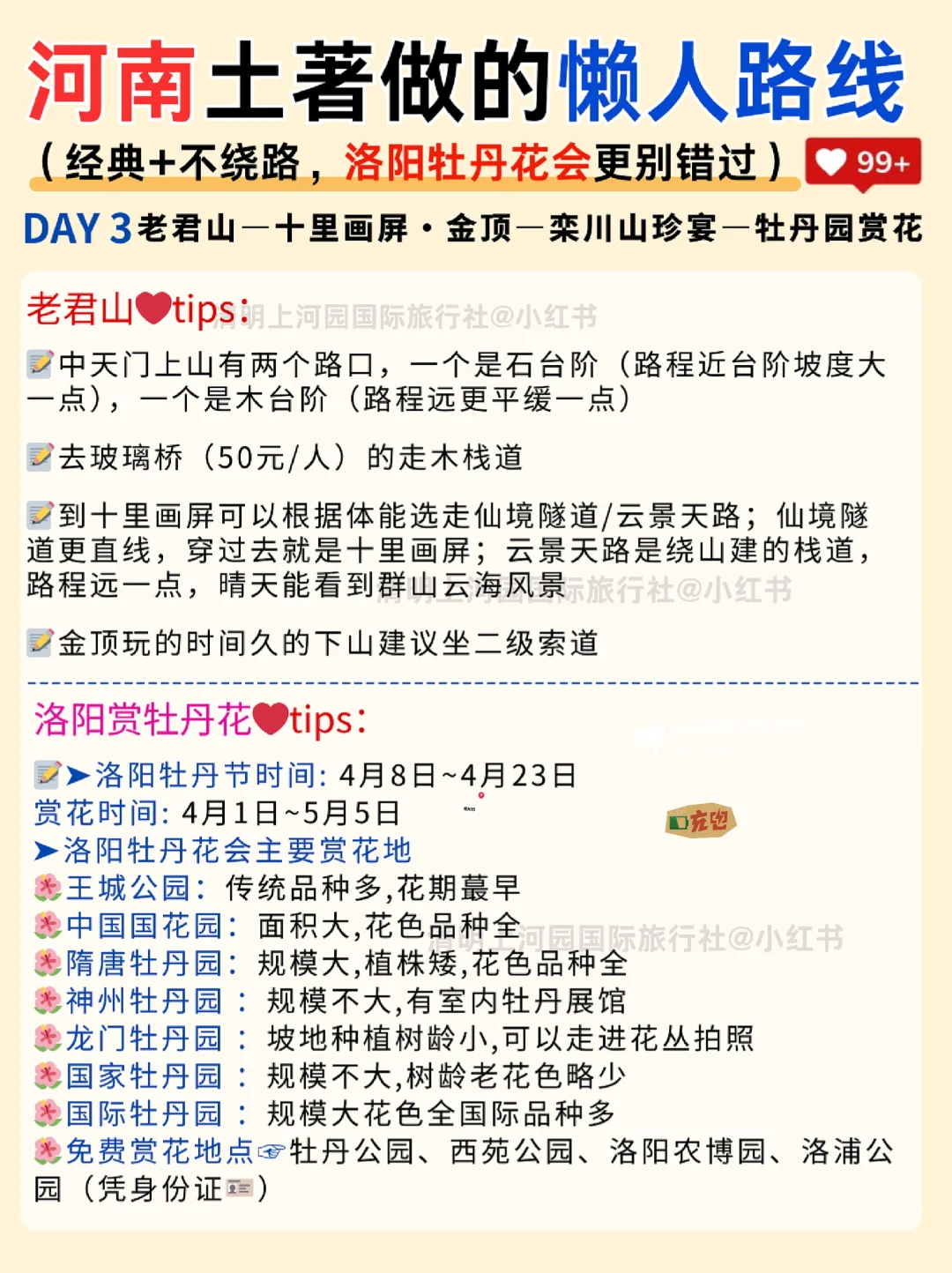 大数据请把这篇推给3-4月去河南的姐妹‼️