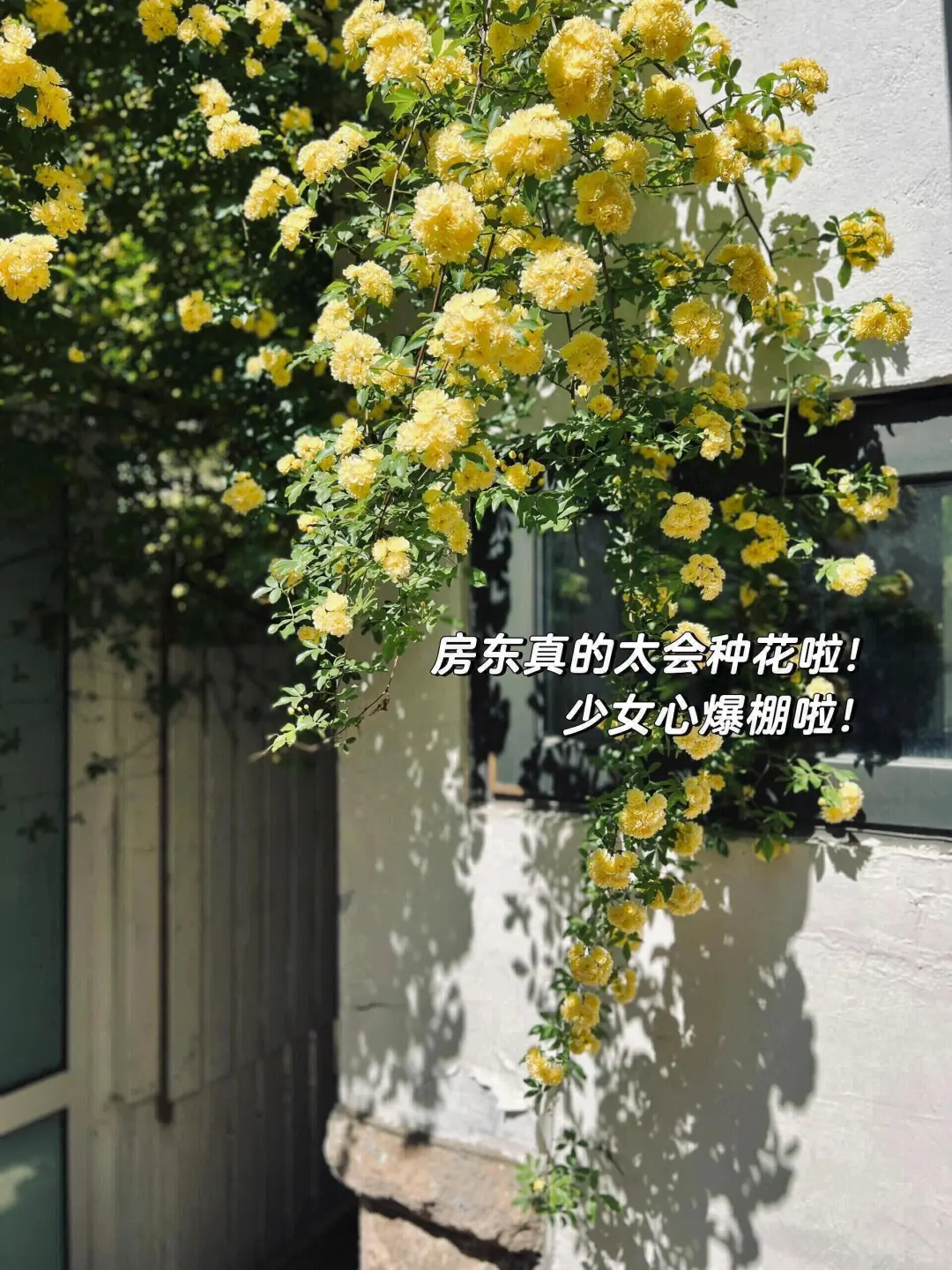 五一来青岛住我家吧！108俩人，就在栈桥旁