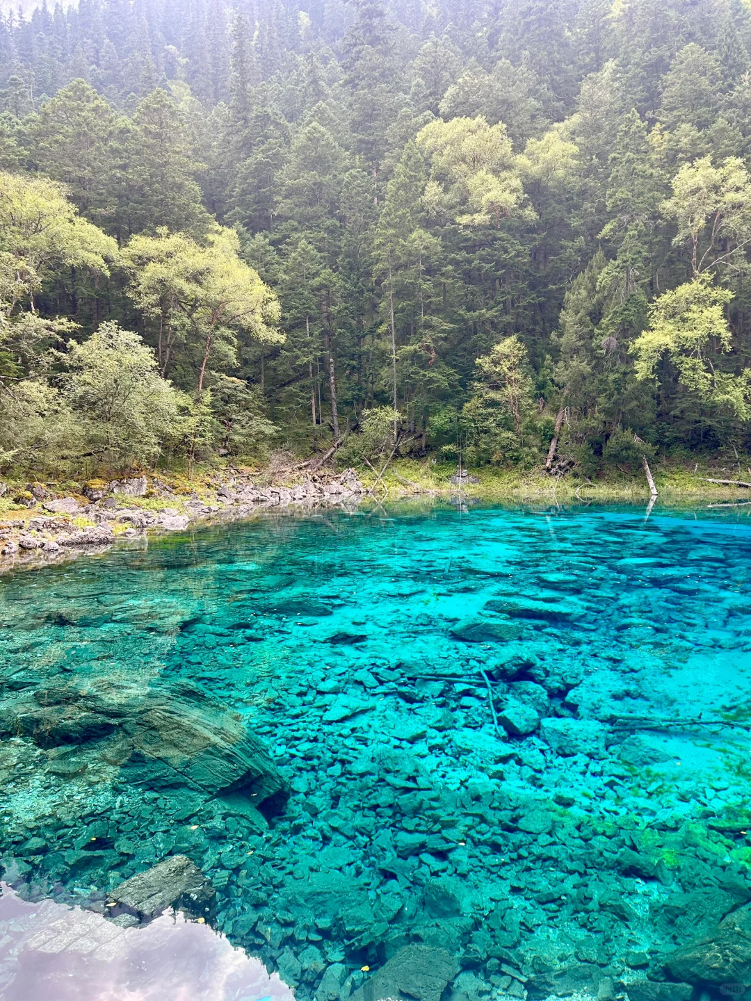九寨沟旅游季